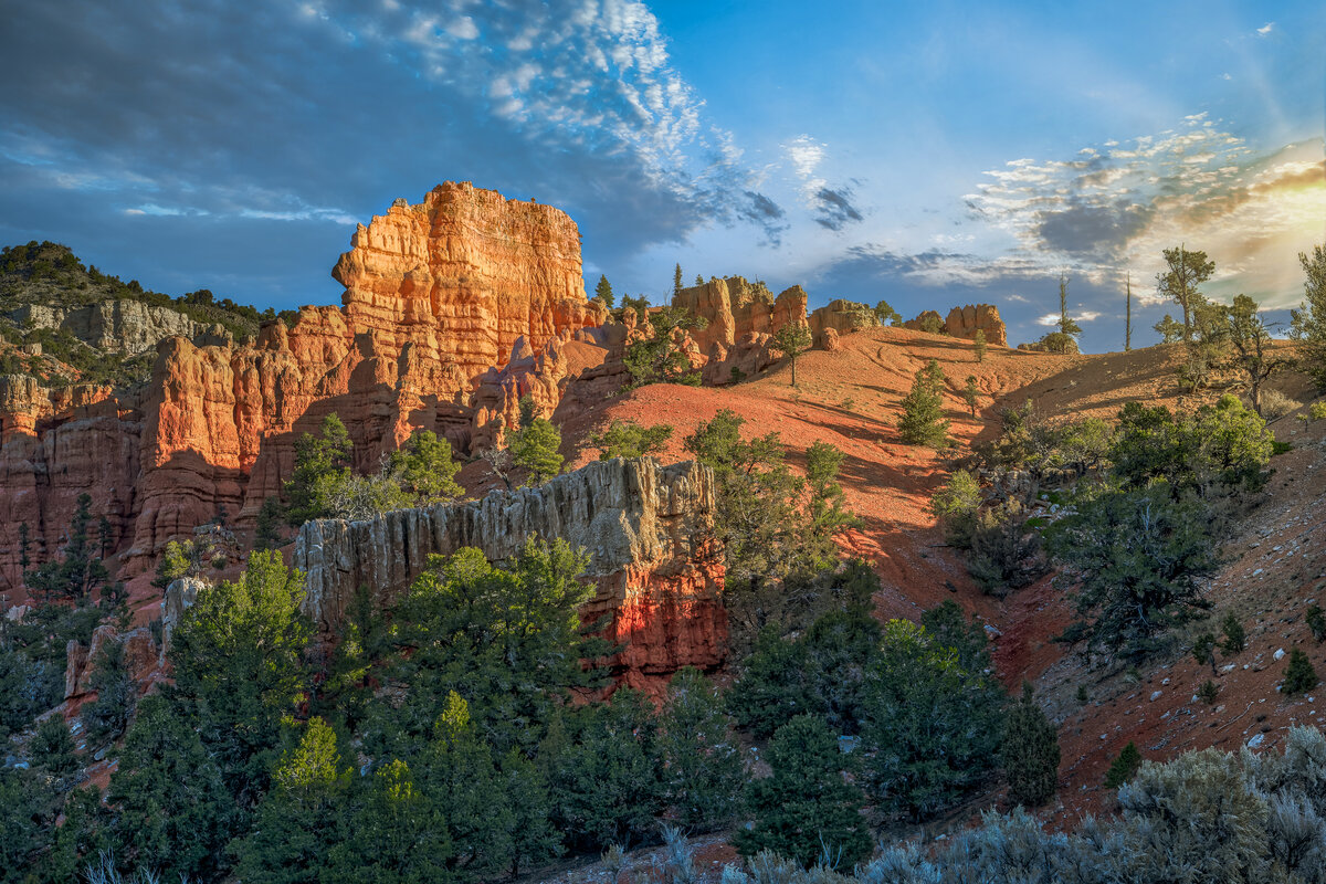_DSC1994_DxO-Edit.jpg