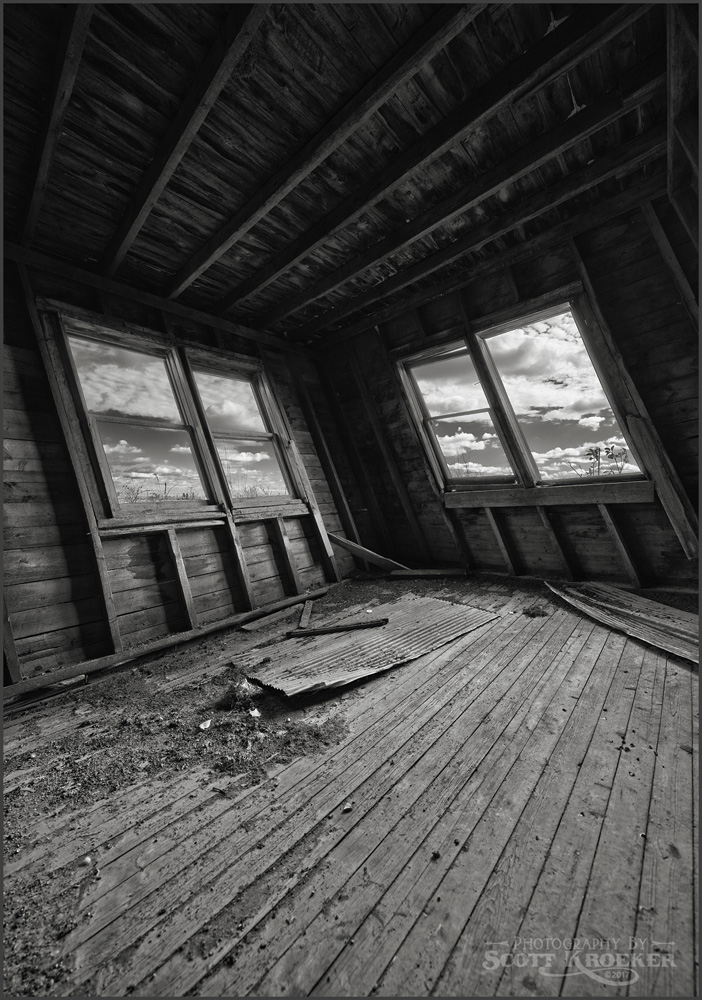 _DSC1994bwweb.jpg