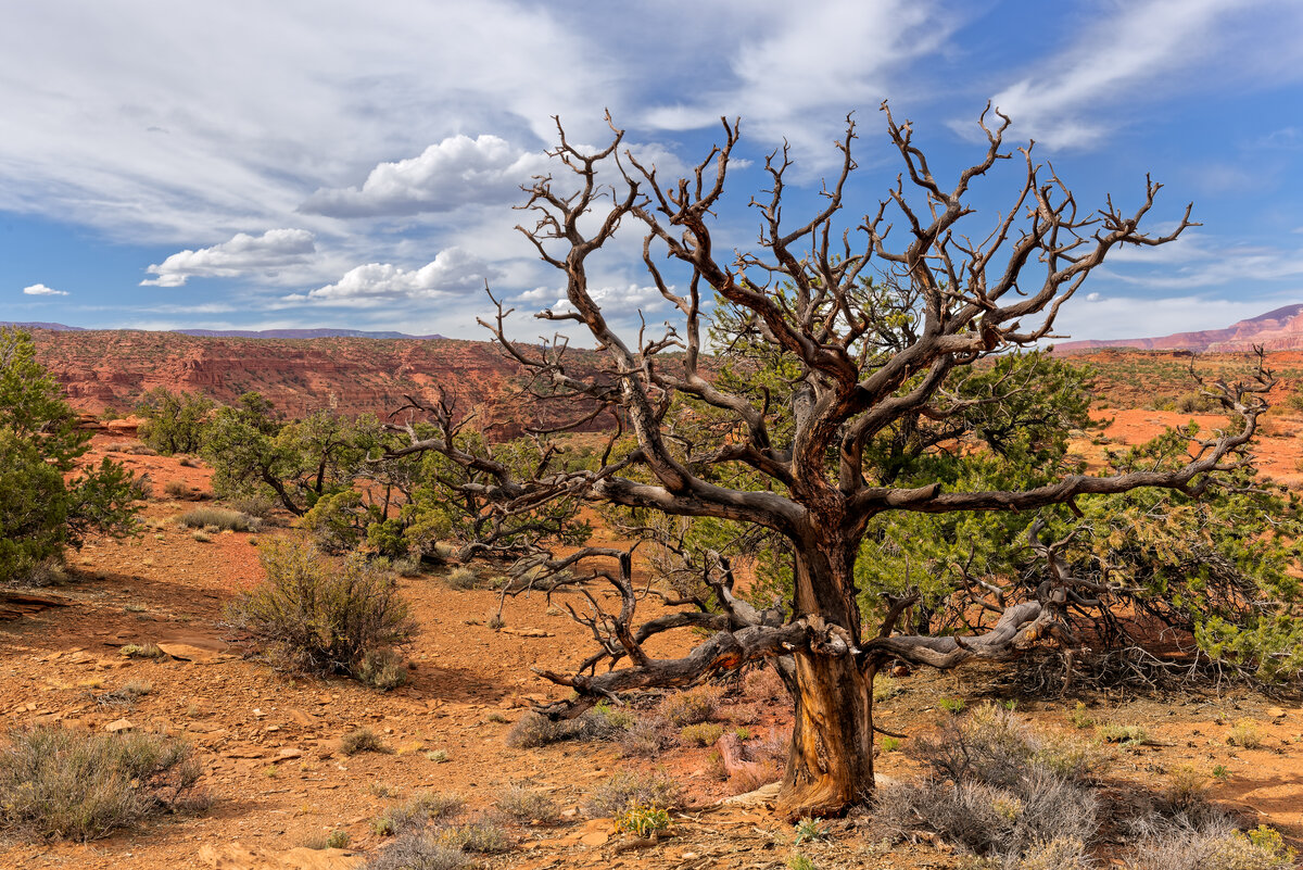 _DSC2051_DxO-Edit.jpg