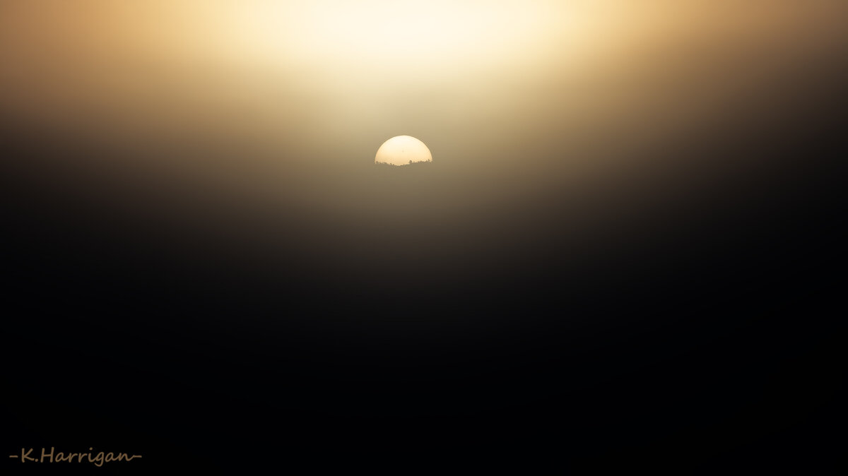 _DSC2063-sharpened.jpg