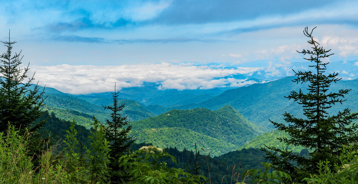 _DSC2071-Pano.jpg