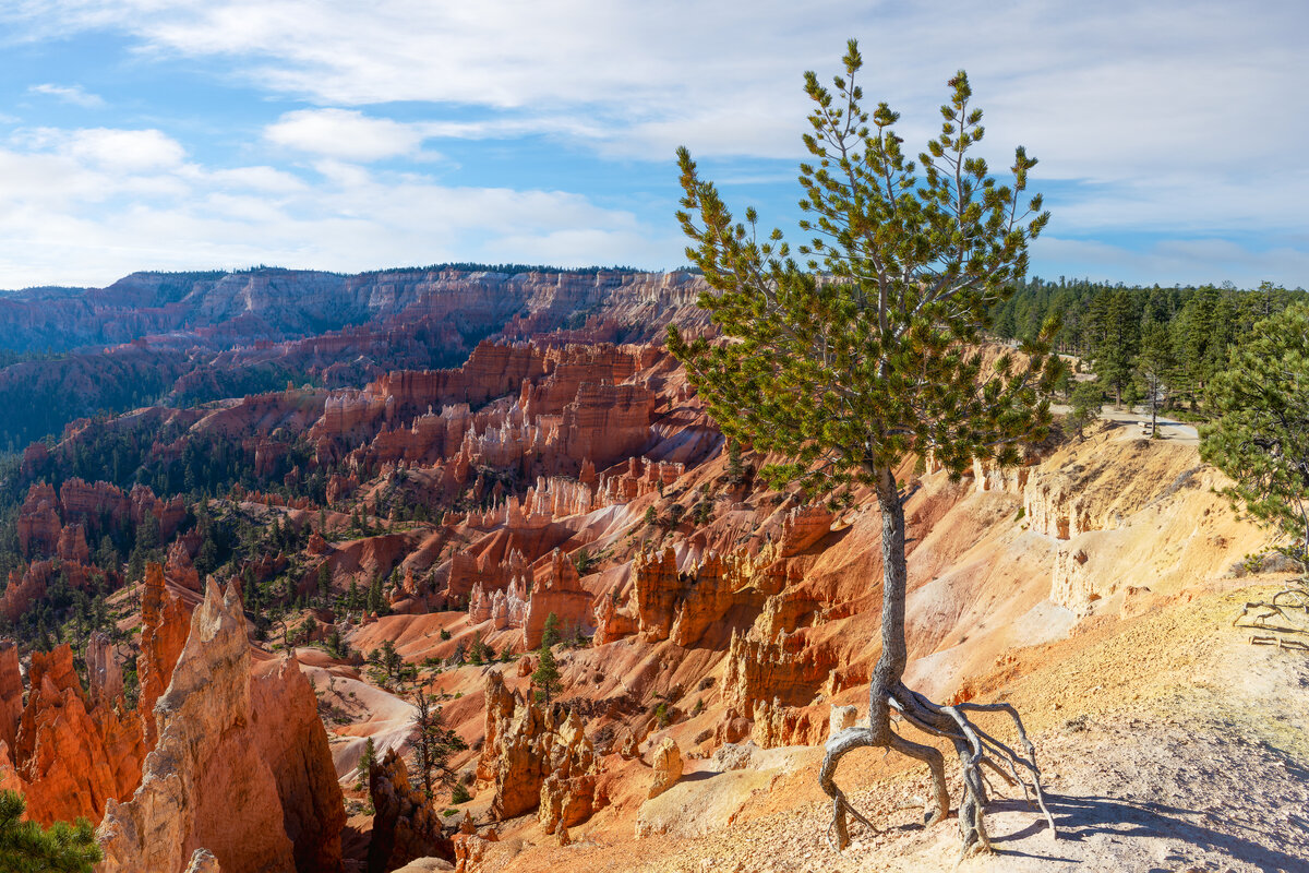 _DSC2092-NEF_DxO_DeepPRIMEXD-Pano-Pano-Edit.jpg