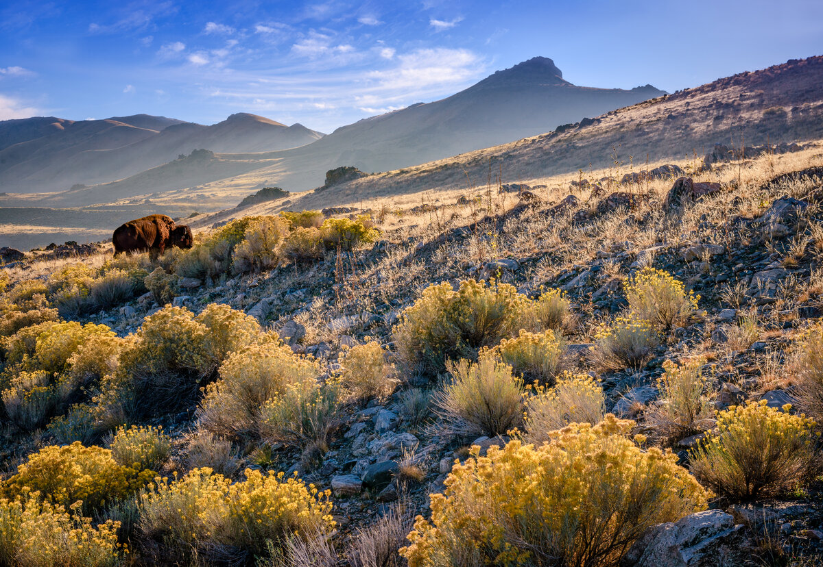 _DSC2101-Edit.jpg