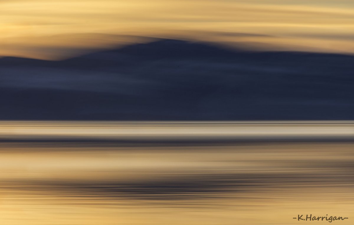_DSC2129 copy.jpg