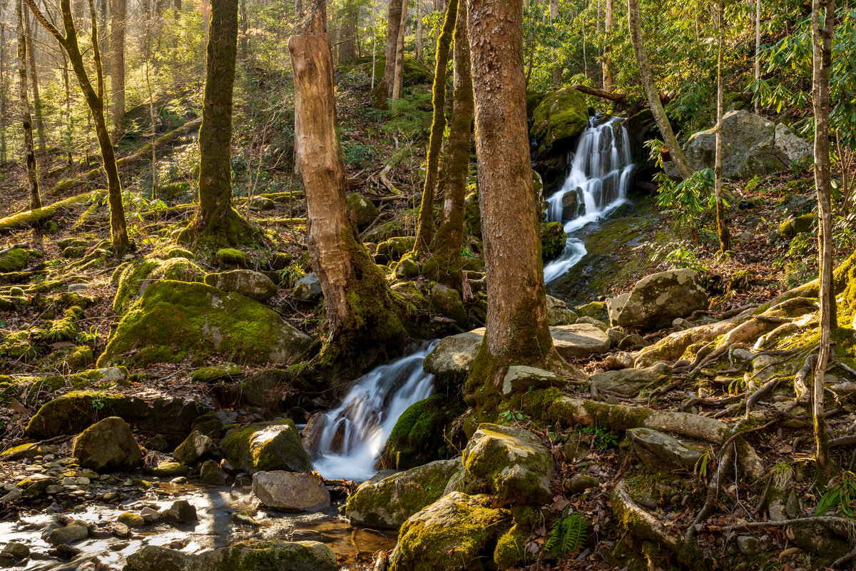 _DSC2222-Edit.jpg