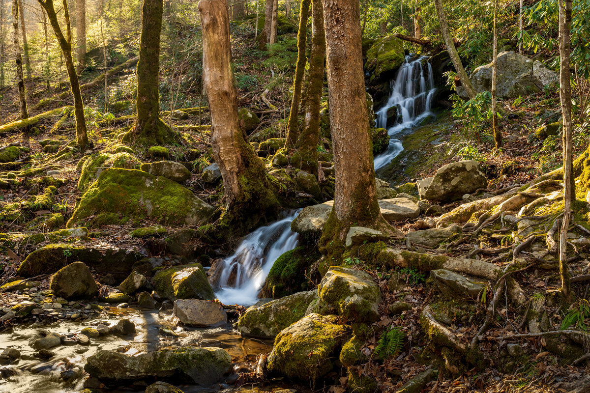 _DSC2222-Edit.jpg