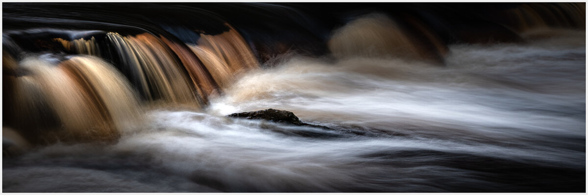 _DSC2229-1 copy.jpg