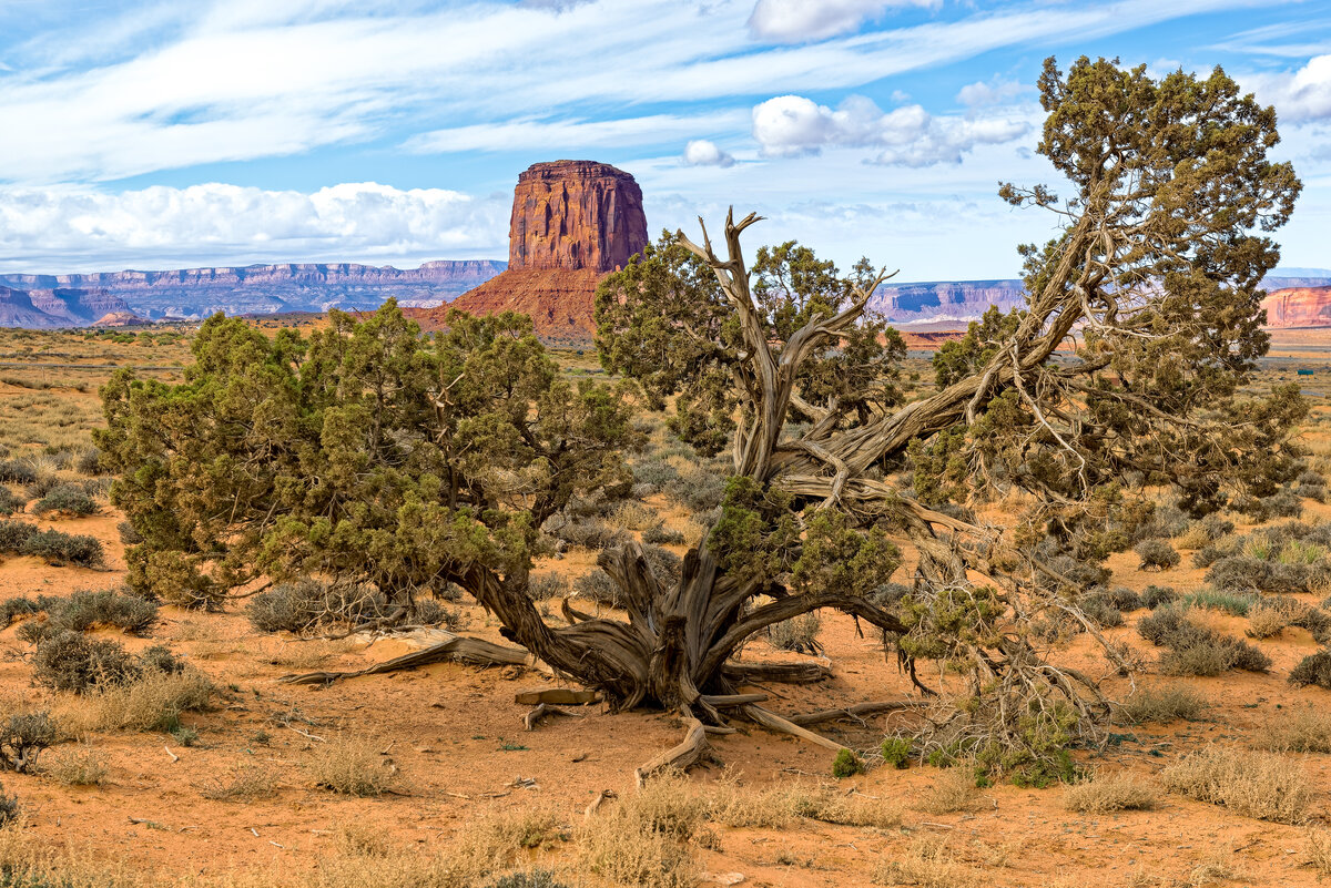 _DSC2262_DxO-Edit.jpg