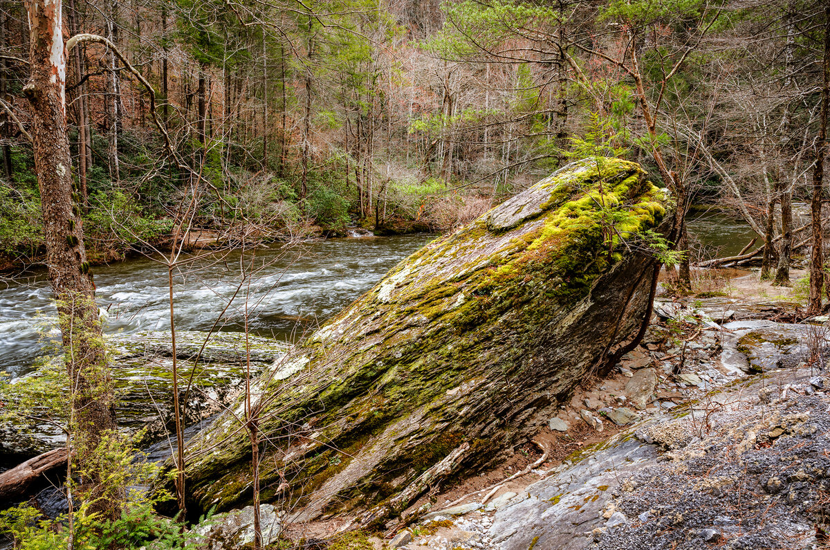 _DSC2274-Edit.jpg