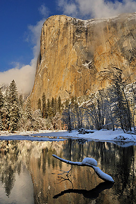 _DSC2293_dww.jpg