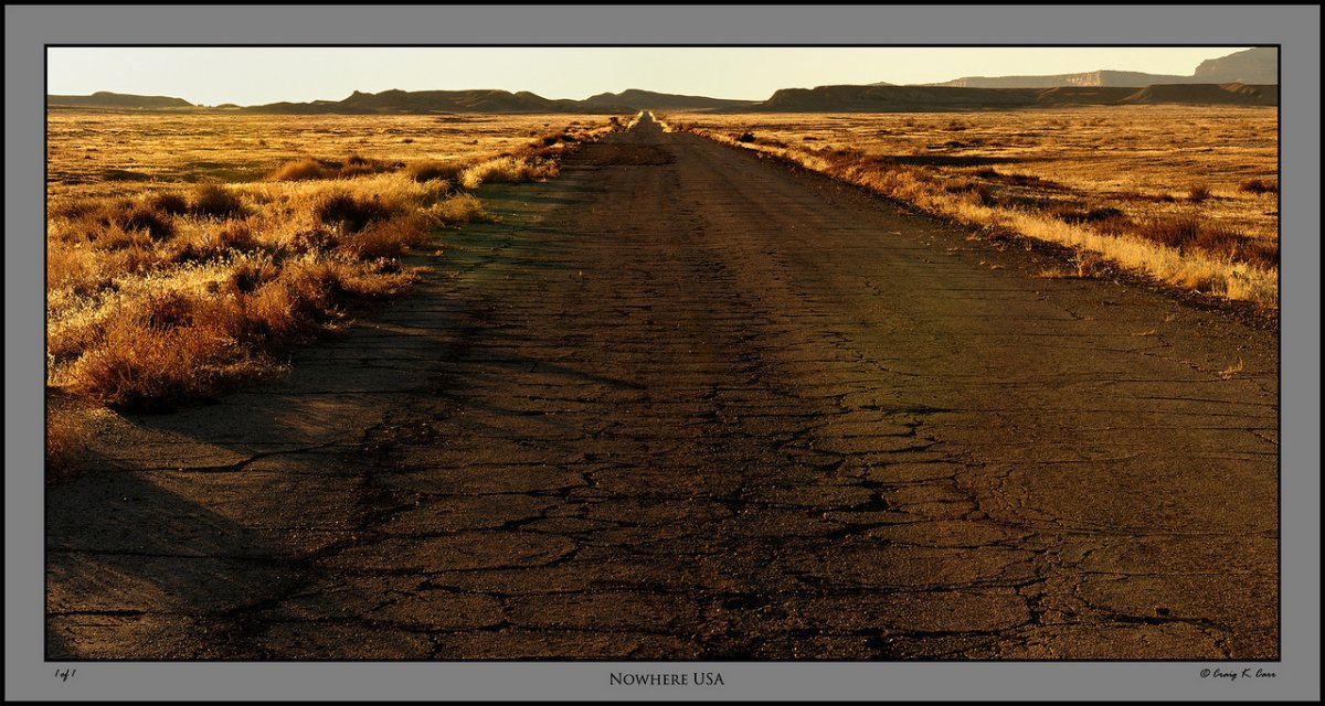 _DSC2313-X2.jpg