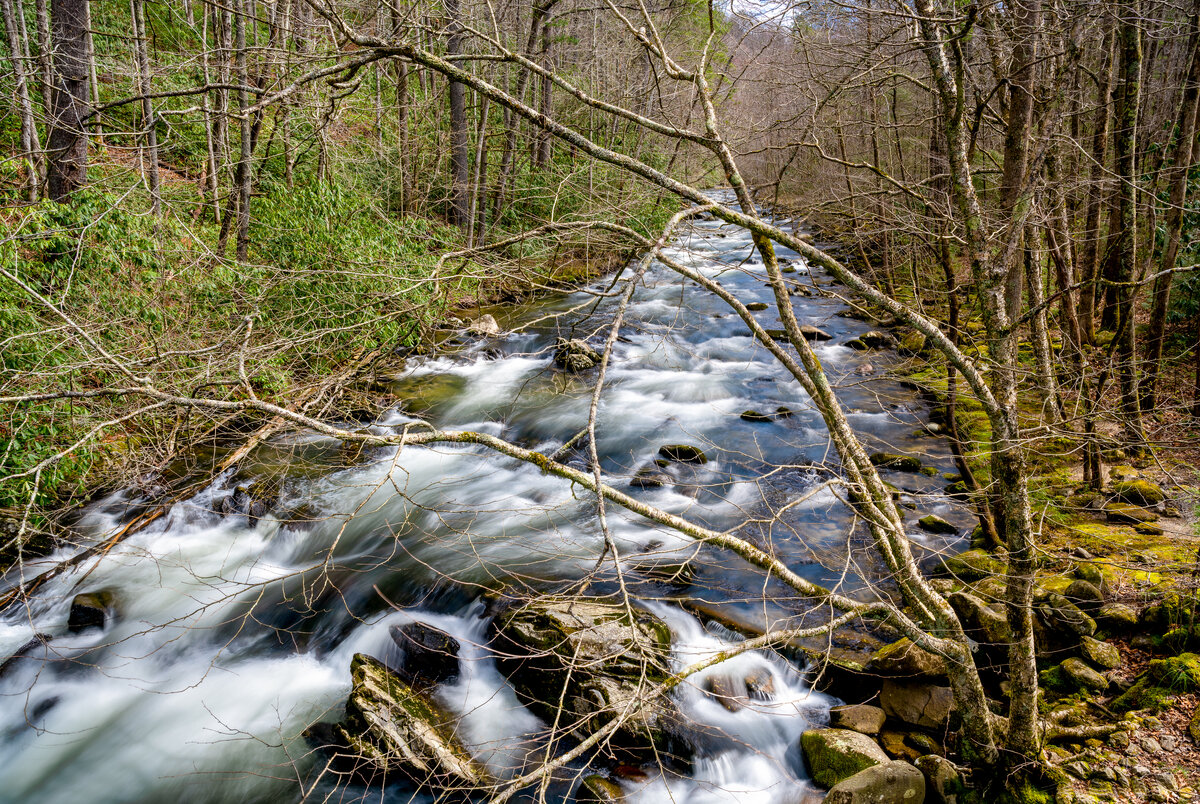 _DSC2334-Edit.jpg