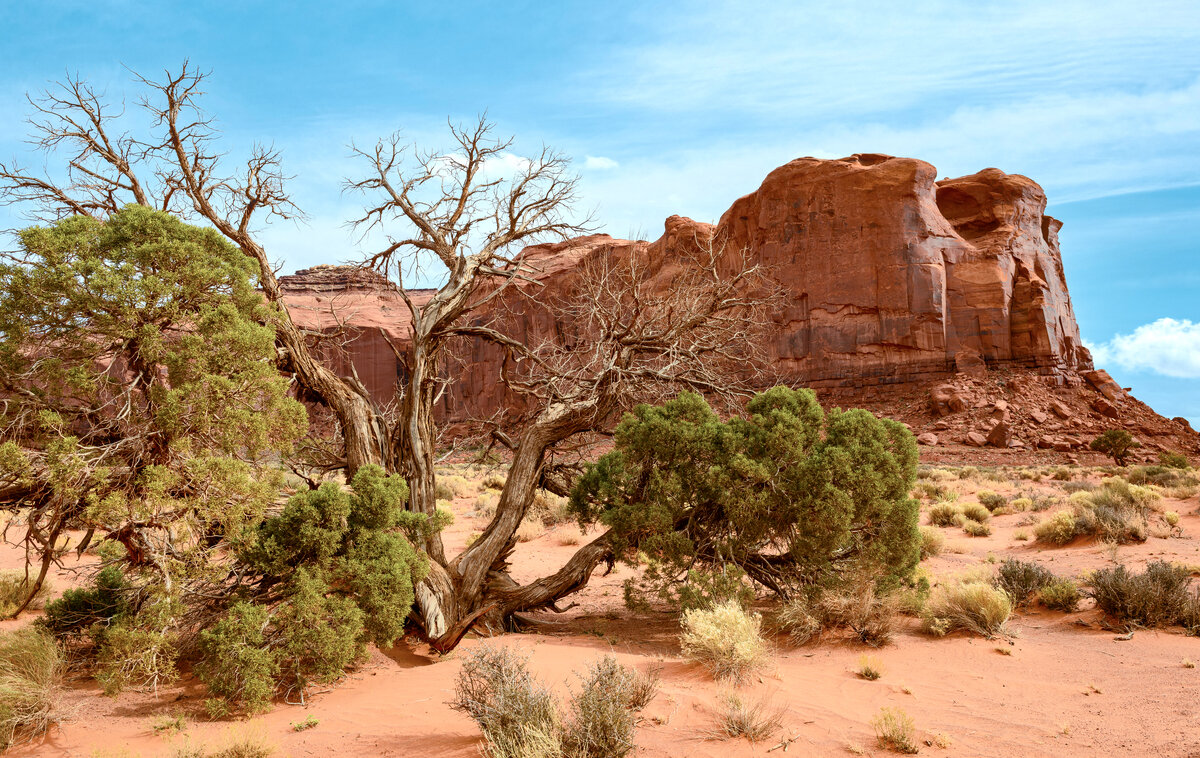_DSC2361-Pano-Edit.jpg