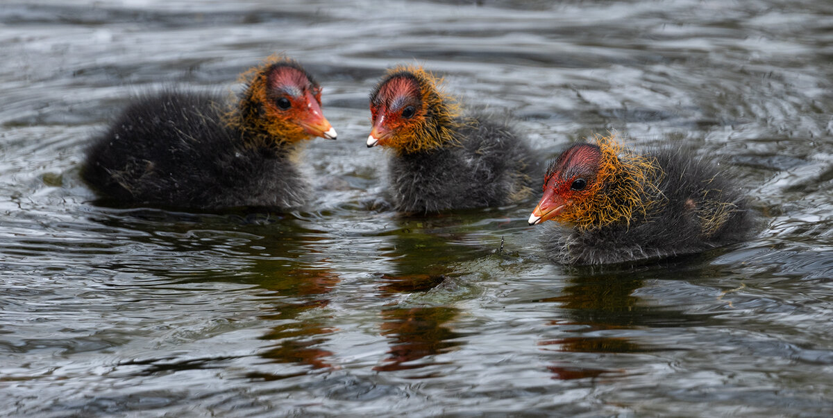 _DSC2366-1 copy.jpg