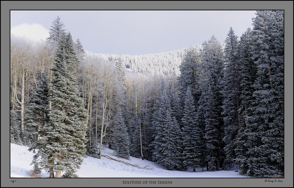 _DSC2377-X2.jpg