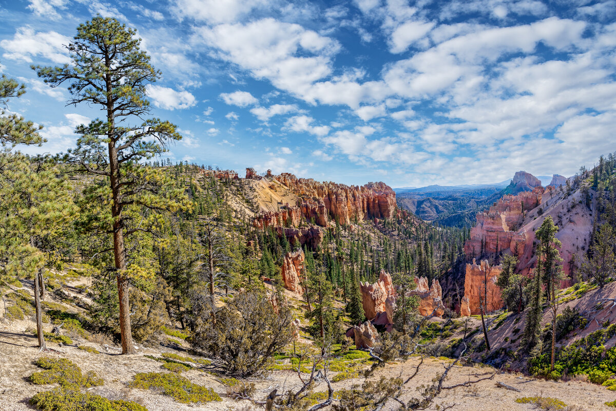 _DSC2396_DxO-Pano-Edit-2.jpg