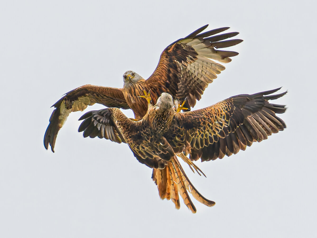 _DSC2398-DxO_DeepPRIME XD2s-3 copy.jpg