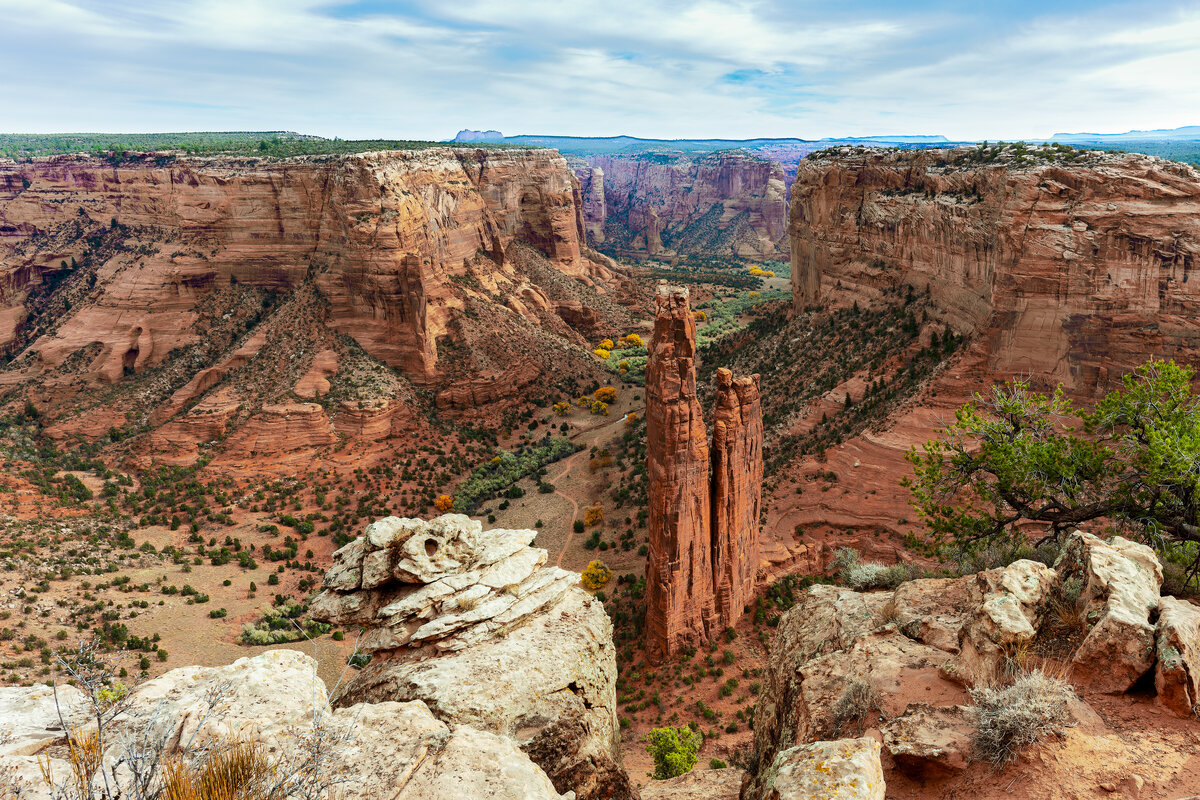 _DSC2440-NEF_DxO_DeepPRIMEXD-Edit.jpg
