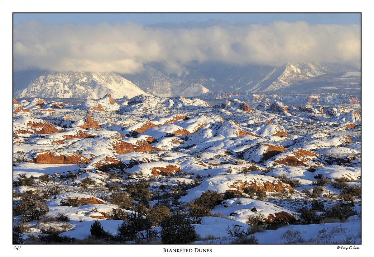 _DSC2447-X2.jpg