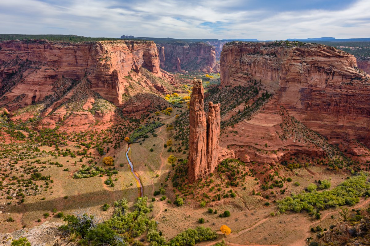 _DSC2449-Edit-2.jpg