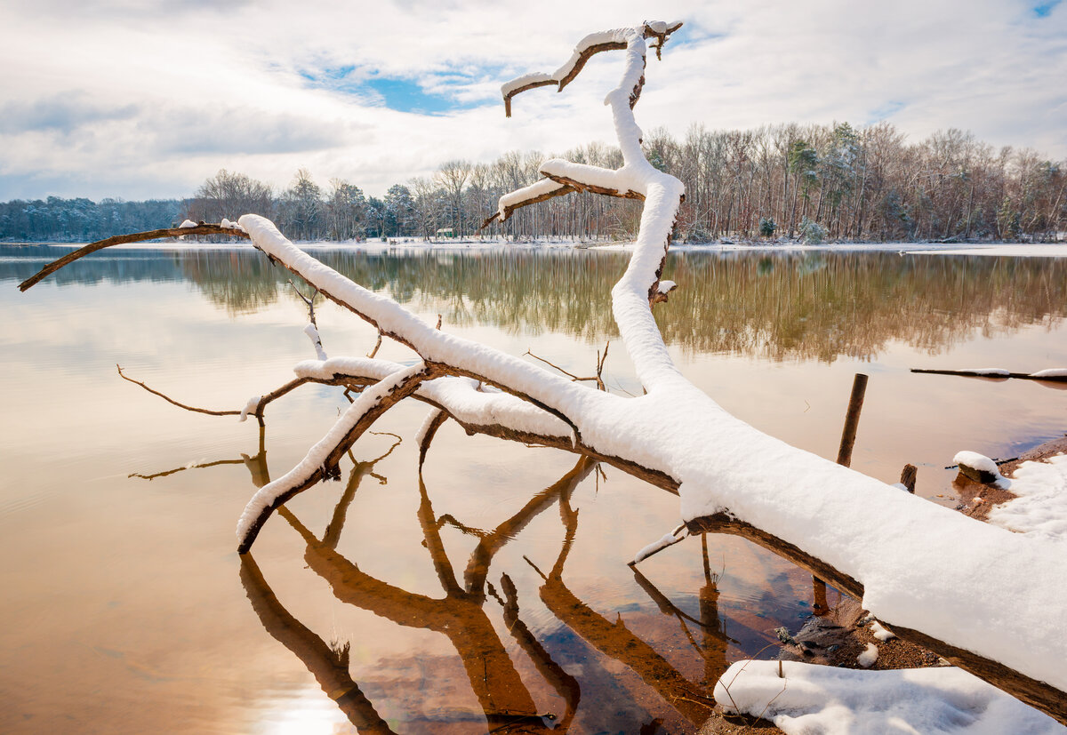 _DSC2452-Edit.jpg