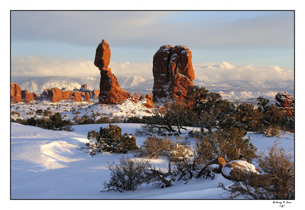_DSC2457-X2.jpg