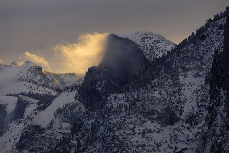 _DSC2458_ds.jpg