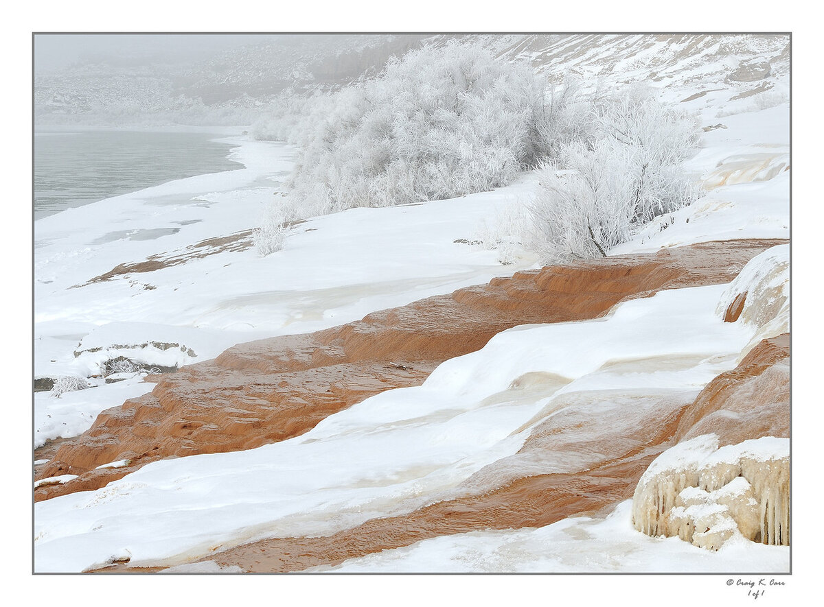 _DSC2514-X2.jpg