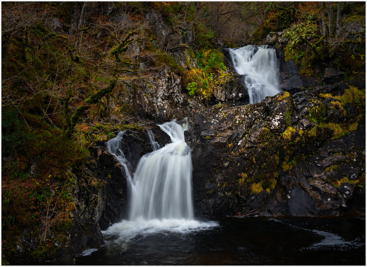 _DSC2612-1 copy.jpg