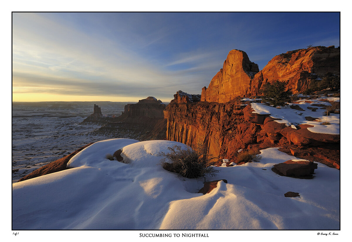 _DSC2701-X2.jpg