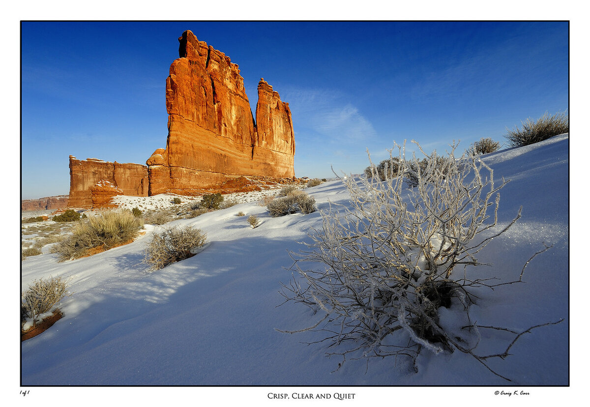 _DSC2752_1-X2.jpg