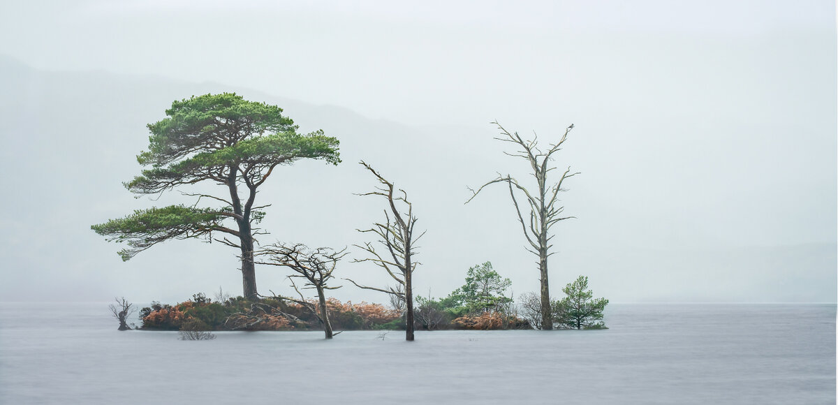 _DSC2832-ARW_DxO_DeepPRIME2 from laptop.jpg