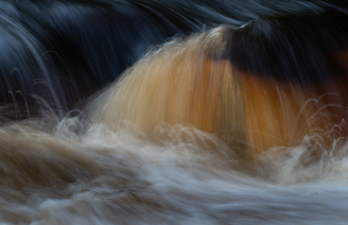 _DSC2859-1 copy.jpg