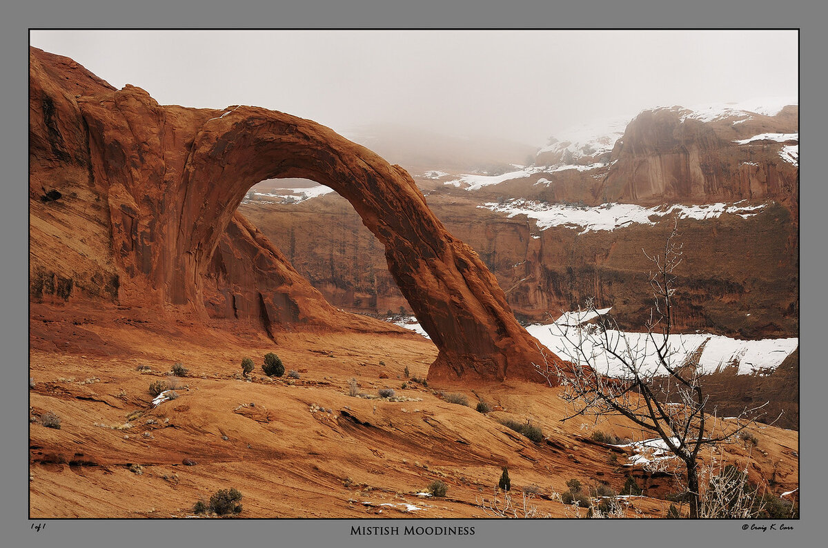 _DSC3034-X2.jpg