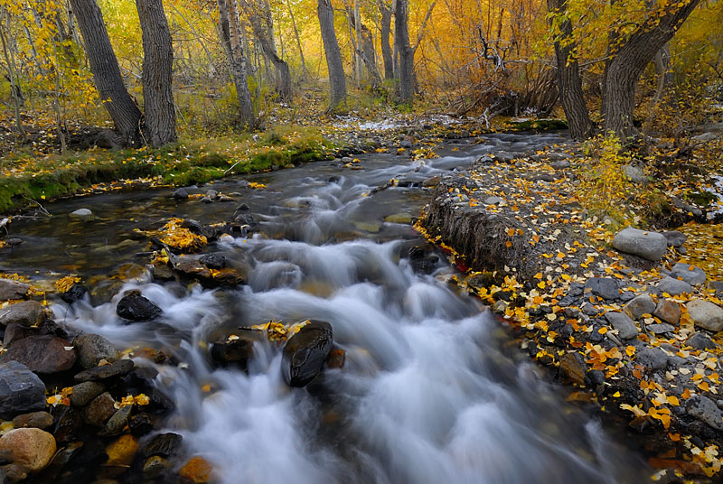 _DSC3044_dw.jpg