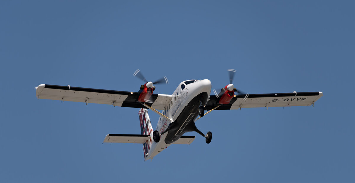 _DSC3095-ARW_DxO_DeepPRIME-1 copy.jpg