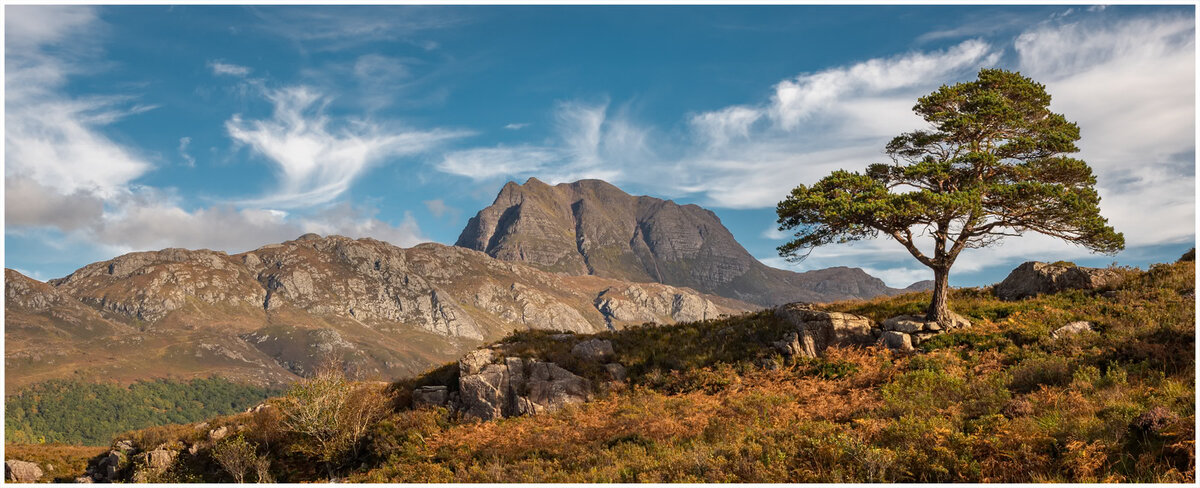 _DSC3183-1 1600 stroke.jpg