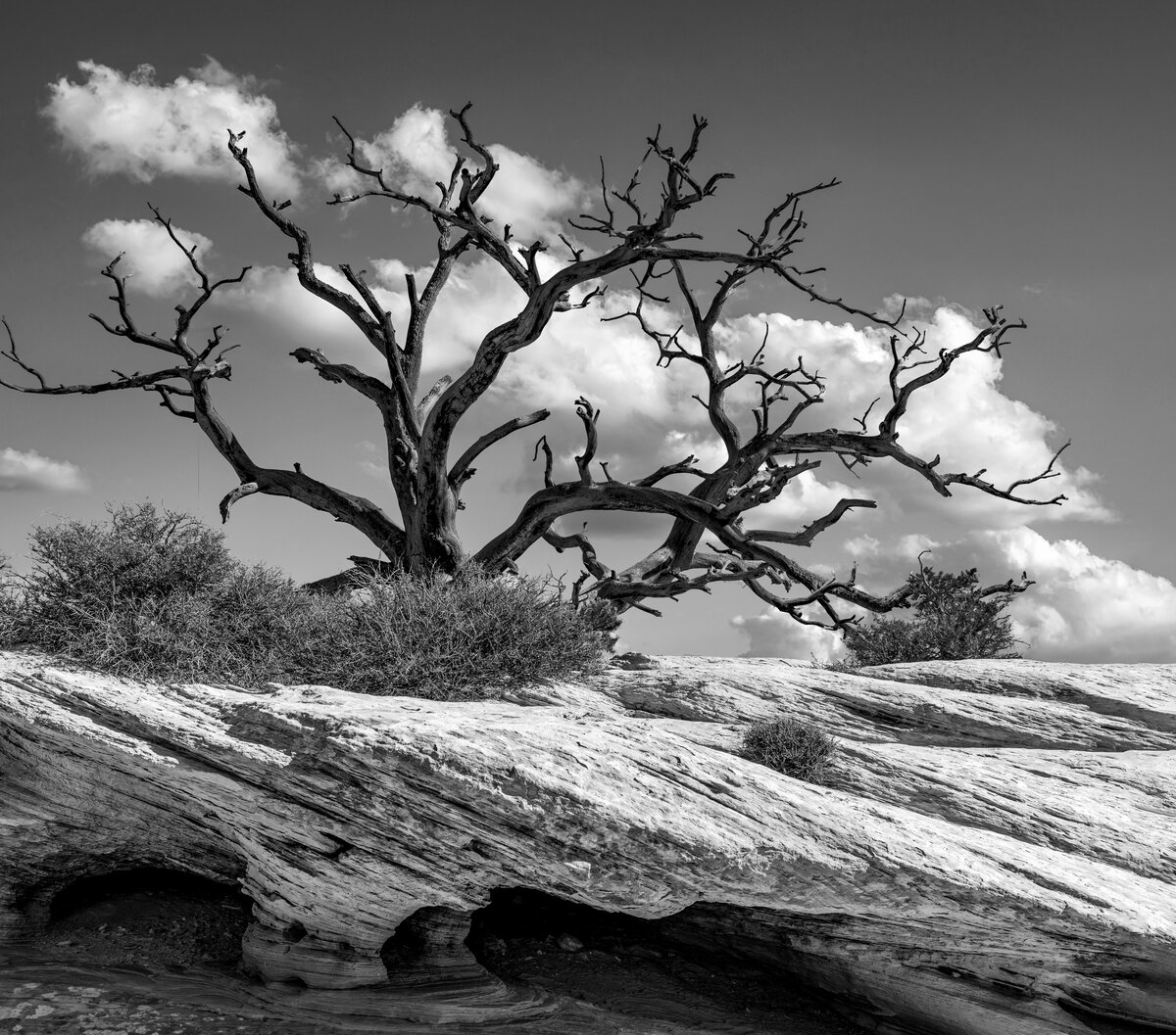 _DSC3185-Edit-2.jpg