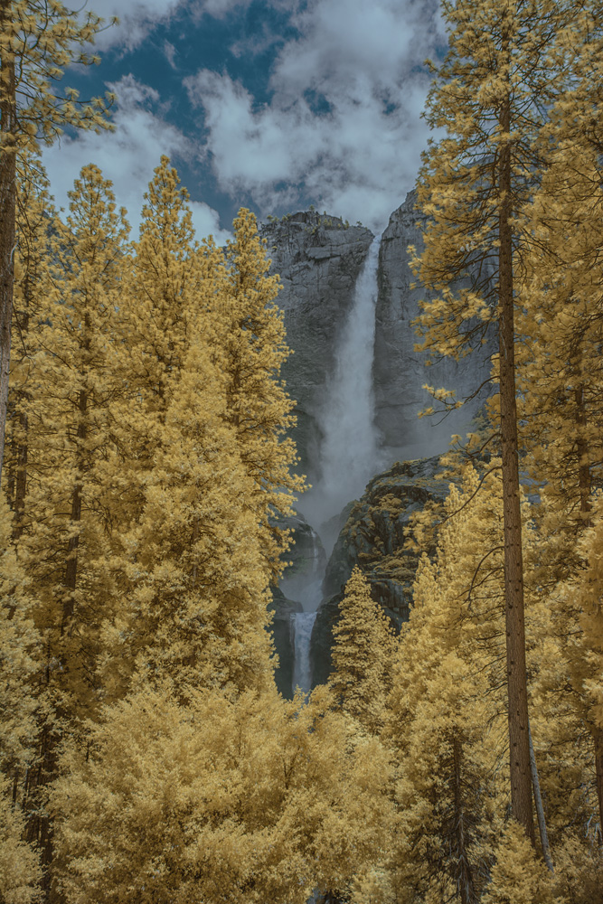 _DSC3219_dw.jpg