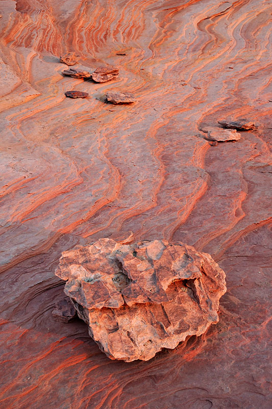 _DSC3292_dw.jpg