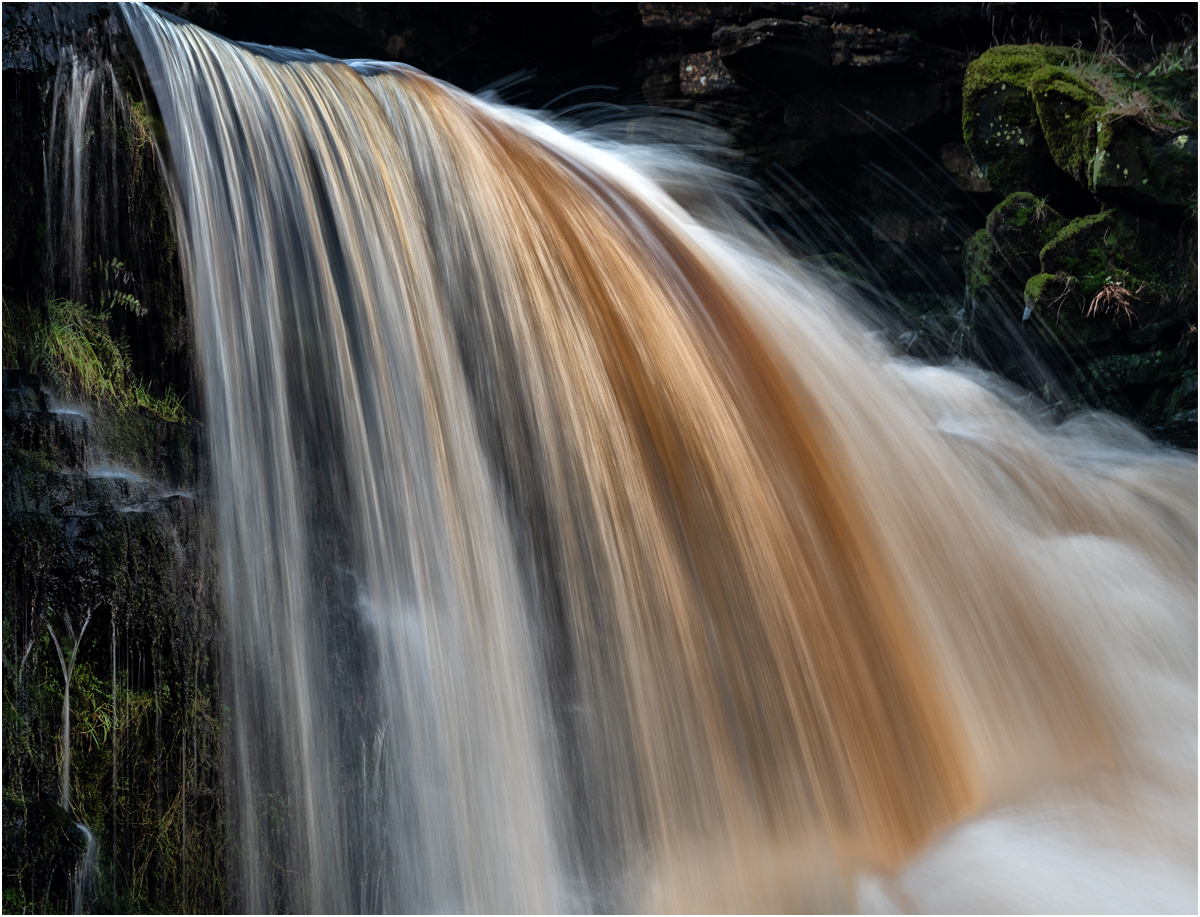 _DSC3295-1.jpg
