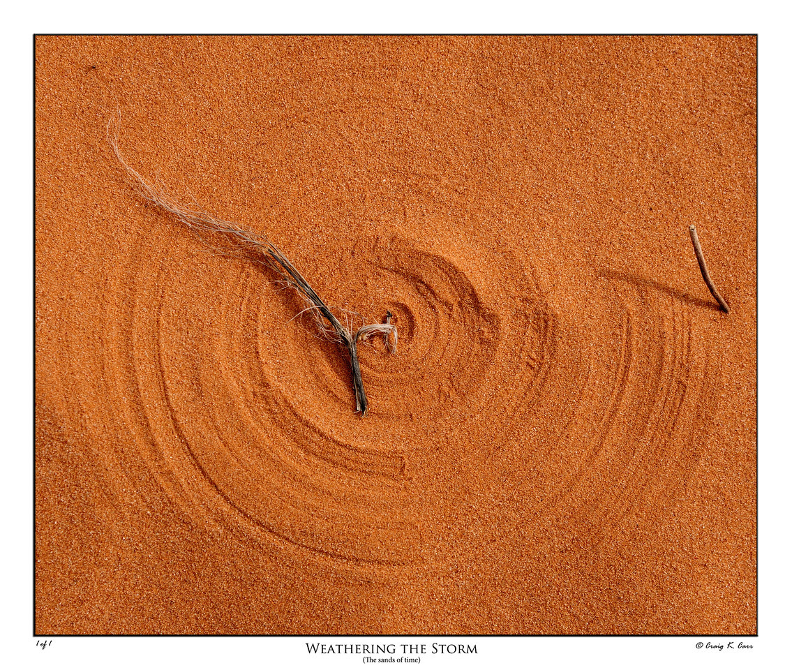_DSC3298-X2.jpg