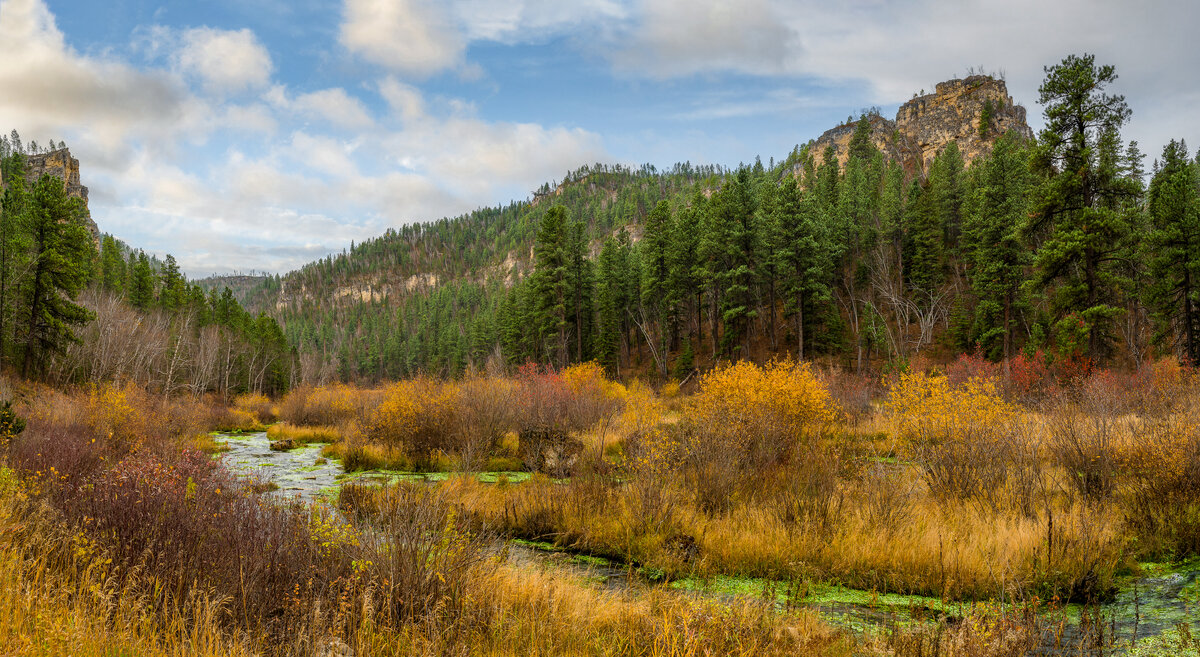 _DSC3354-NEF_DxO_DeepPRIMEXD-Pano-Edit.jpg