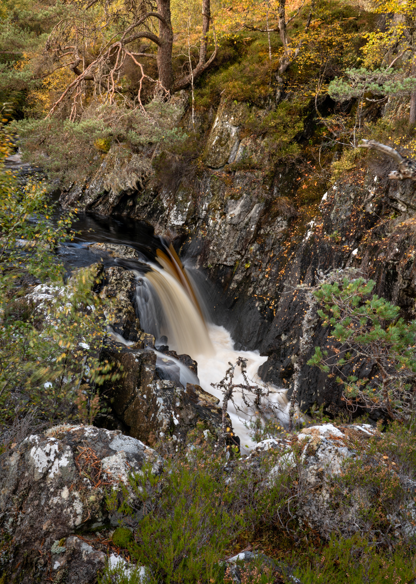_DSC3428-1 copy.jpg