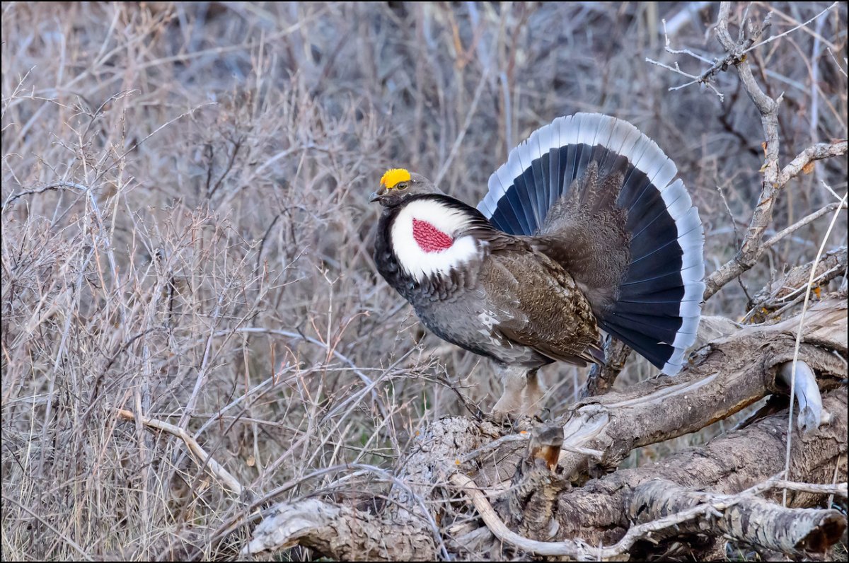 _DSC3428-X2.jpg