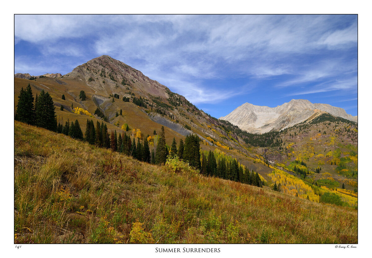 _DSC3478-X2.jpg