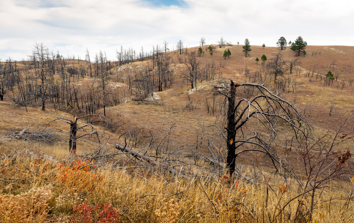 _DSC3496-NEF_DxO_DeepPRIMEXD-Pano-Edit.jpg