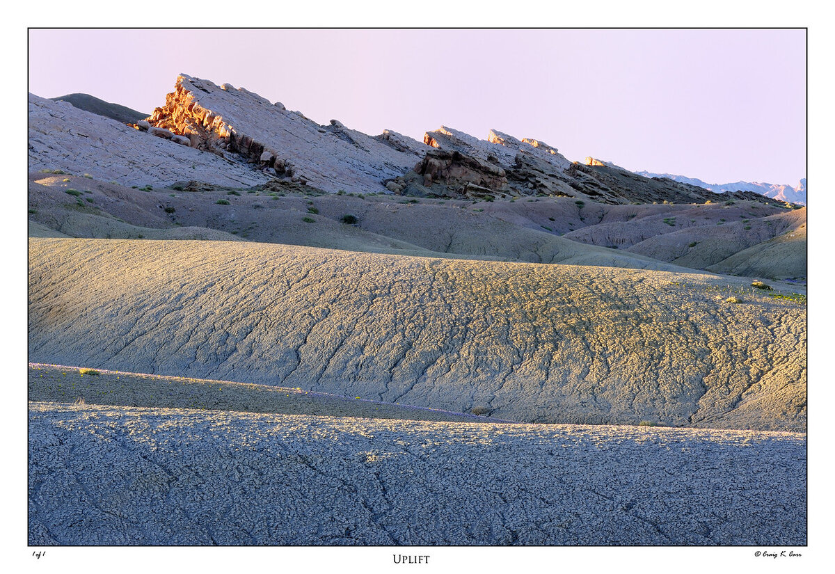 _DSC3503-X2.jpg