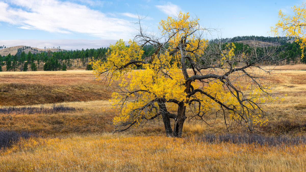 _DSC3544-NEF_DxO_DeepPRIMEXD-Pano-Edit.jpg