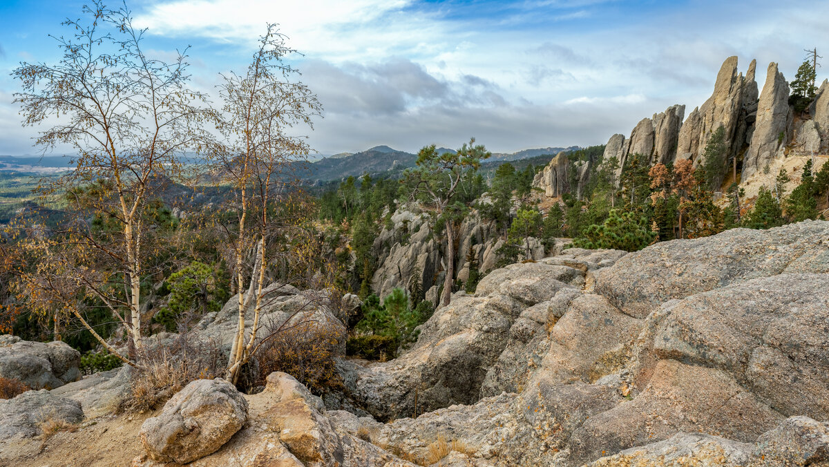 _DSC3594-NEF_DxO_PRIME-Edit.jpg